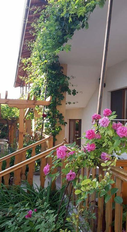Guest House Nash Dom Kavarna Esterno foto