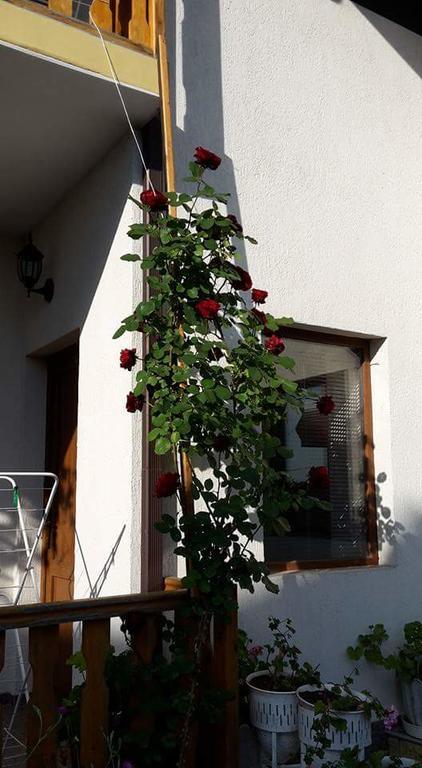 Guest House Nash Dom Kavarna Esterno foto
